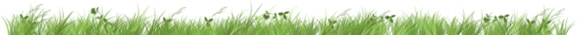 fitorelax.ru